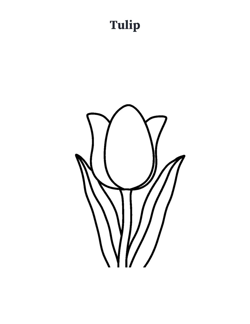 Garden Coloring Pages for Seniors: Memory Care Printable: Preview 2