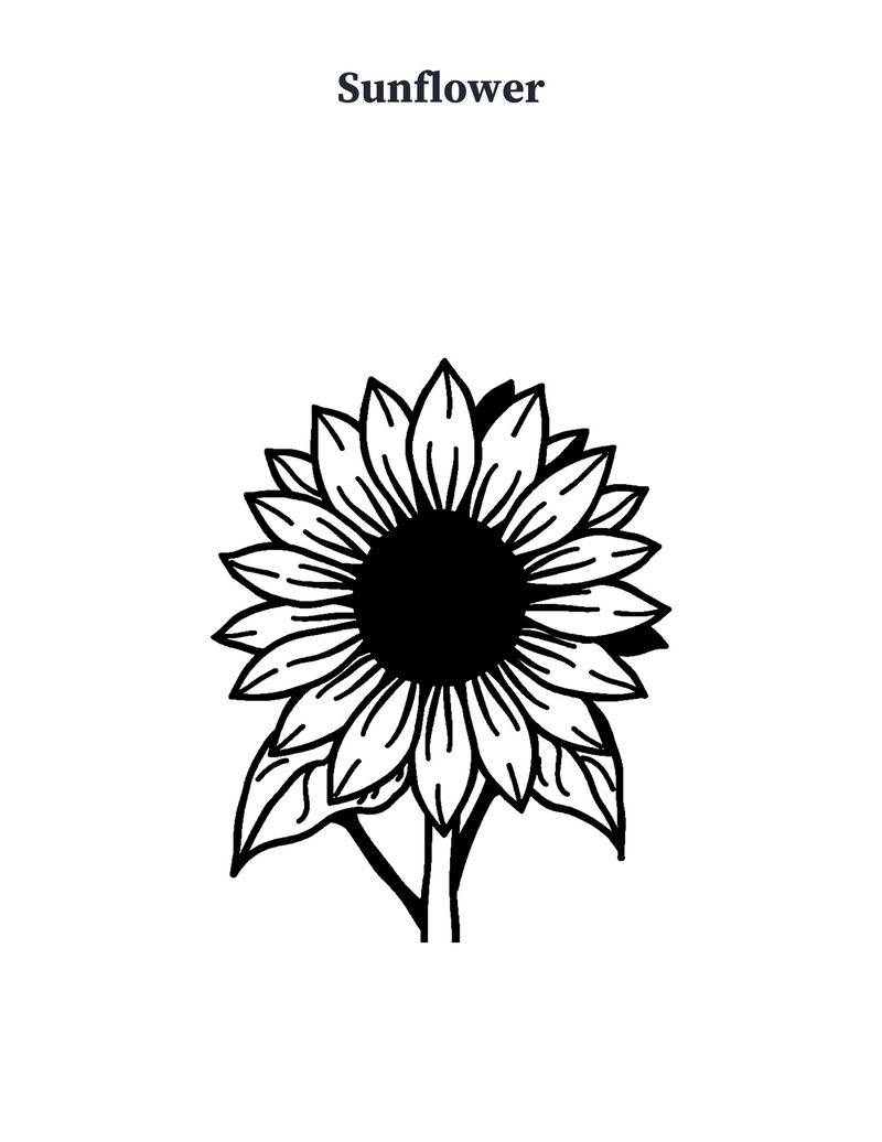 Garden Coloring Pages for Seniors: Memory Care Printable: Preview 3
