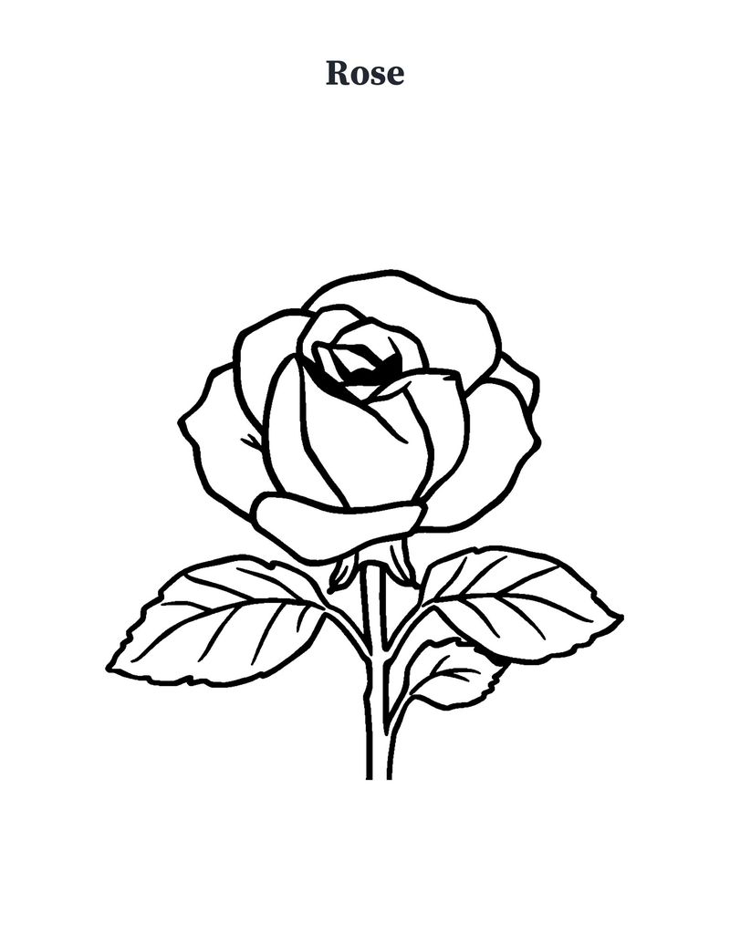 Garden Coloring Pages for Seniors: Memory Care Printable: Preview 4